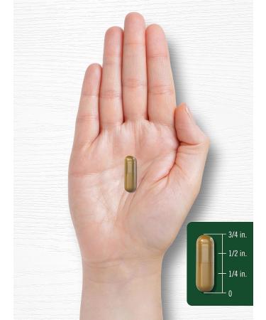 Carlyle Ceylon Cinnamon Complex with Gymnema and Mulberry | 150 Capsules | Non-GMO Gluten Free Supplement - Buy Online on GoSupps.com