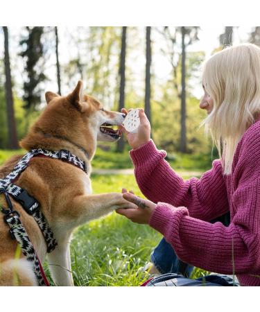 KALIONE 6 Packs Dog Scent Work Tins Scent Training Box for Dogs Small Dog Food Container Agility Training Equipment for Dogs Dog Scent Training Tools Kit Aluminum Containers for Dog Nose Training - Buy Online on GoSupps.com