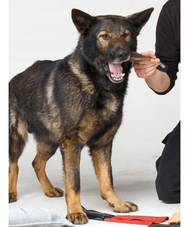 Handcrafted Leather Dingo Gear Bite Sausage Dog Toy - 28 cm | Ideal for IGP IPO & Obedience Training - Buy Online on GoSupps.com