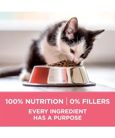 Purina ONE +Plus Dry Kitten Food Chicken - 1.8 kg Bag - Buy Online on GoSupps.com