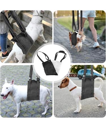 Premium Dog Harness for Hedge Aid | Comfortable & Secure International Shipping - Buy Online on GoSupps.com