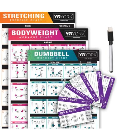 YoYork Exercise Posters for Stretching, Dumbell & Bodyweight Training - Home Gym & Fitness Workout w Minimal Equipment Needed - Get Full Body Workout at Home - 3 Laminated Posters Plus Workout Cards