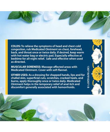 Rawleigh Medicated Ointment Stick 0.5 oz (14.2g) Classic Aromatic Chest Rub in Portable Stick Format for Cold Nasal Congestion with Camphor Menthol & Eucalyptus Non-Greasy Pack of 3 - Buy Online on GoSupps.com