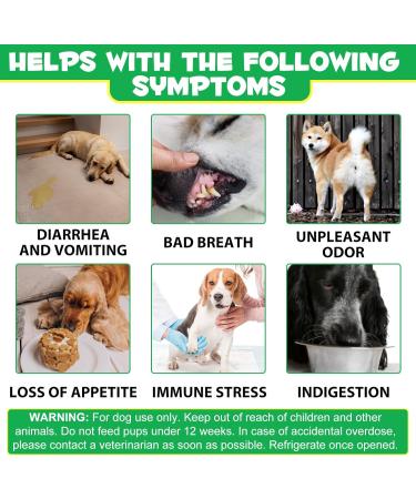 Probiotics Chews for Dogs 60 Counts Pre & Digestive and Immunity Treats for Dog 60Pcs Support Gut Health Seasonal Allergies Itchy Skin for All Type Dogs (Duck Flavor) - Buy Online on GoSupps.com