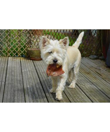 Roqsy Natural Chicken Jerky for Dogs - Grain-Free BARF Supplement - 200g (2x100g) Dry Meat Snack & Treat - Buy Online on GoSupps.com