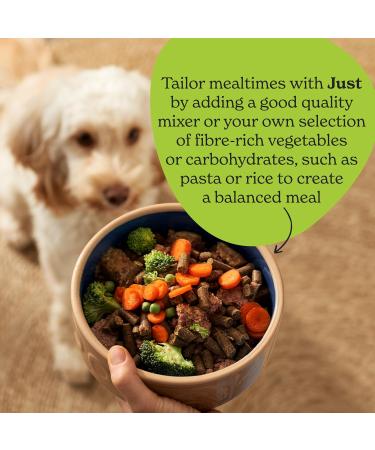 Forthglade Complementary Wet Dog Food Variety Pack (12 x 395g Trays) - Grain Free & Hypoallergenic Dog Food Just Chicken Lamb & Beef 90% Protein Stomach Sensitive with Natural Ingredients Meat Variety 395g (Pack of 12) - Buy Online on GoSupps.com