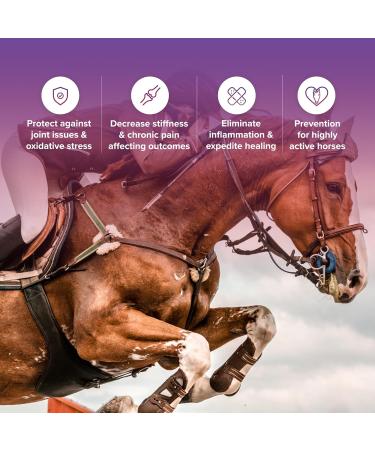 Integricare - Tri-Acta H.A. Maximum Strength Equine Formula All-Natural Horse Joint Supplement with Glucosamine Chondroitin Hyaluronic Acid and Msm for Horses 3kg - Buy Online on GoSupps.com