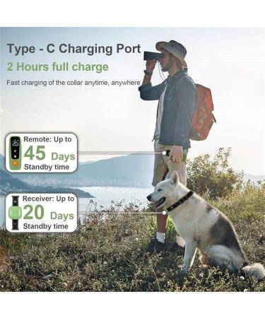 New Classic Dog Collars - Nylon Waterproof & Breathable | Easy to Handle for All Dog Sizes - Buy Online on GoSupps.com