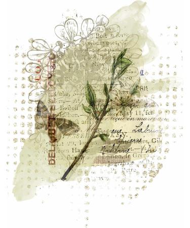 Greenery Overlay Rice Paper 8x10.5 inch - 6 Different Printed Mulberry Paper Images for Decoupage Crafts and Mixed Media Art - Buy Online on GoSupps.com