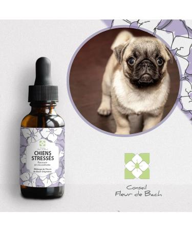 Floral Elixir Blend for Stressed Dogs - Quickly Comfort Your Dog. This Blend is a Natural Anti-Stress for His Daily Life (30ML) Pack of 2 - Buy Online on GoSupps.com