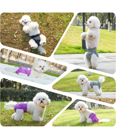 Demigreat High-Suction Folter Trousers for Bitches 3-Piece Adjustable Dog Diapers in Purple XS - Buy Online on GoSupps.com
