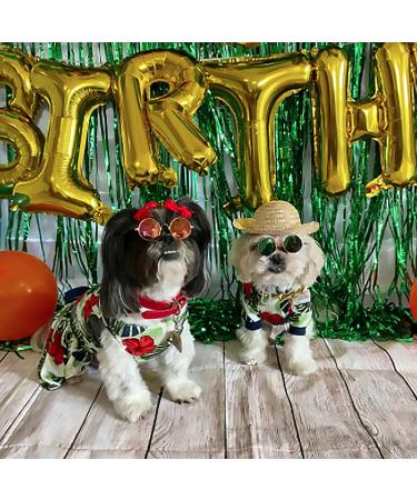 6 Pieces Pet Dog Cat Costume  Pet Sunglasses and Summer Pet Straw Hat with Faux Gold Chain Collar  Classic Funny Pet Accessories for Pet Cat Puppy Small Medium Dog Birthday Cosplay Party (Cute Style) - Buy Online on GoSupps.com