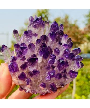 Natural Amethyst Cluster Ore Demagnetization Stone Purification Decoration Can be Used for (Size : 350-400g) ningxiao - Buy Online on GoSupps.com