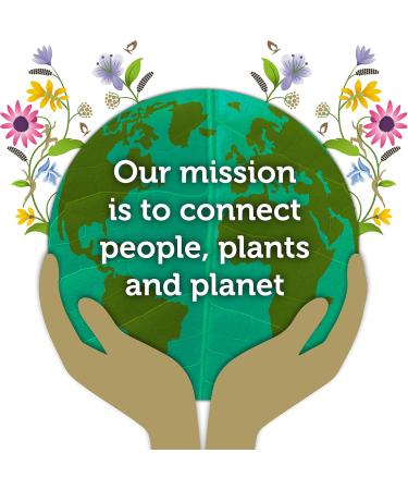 Lipton Tea and Infusions Pukka Supreme Matcha Green Tea 20 bags - Buy Online on GoSupps.com