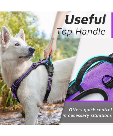 Eagloo Dog Harness for Large Dogs - Adjustable Anti-Train Control Harness with Reflex Strips Purple - Perfect for Labradors (1 Pack) - Buy Online on GoSupps.com