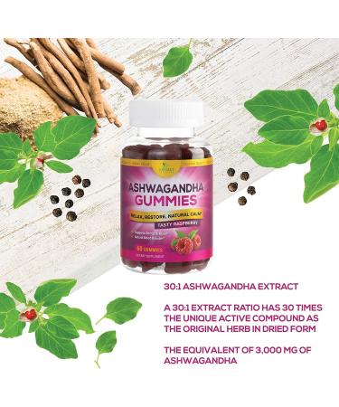 Organic Ashwagandha Gummies for Relaxation & Stress Relief - Vegan Friendly - 60 Raspberry Flavor Chews - Buy Online on GoSupps.com
