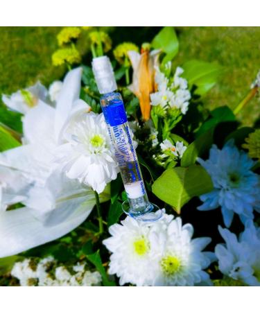 Magnolia Orchid Clinical StarFish Cellular Moisture Boost - Buy Online on GoSupps.com