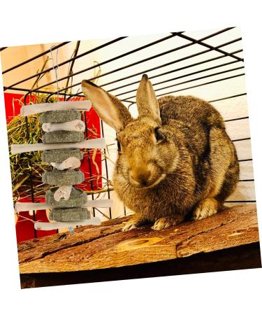 BUGUUYO Pet Chewing Playthings Oral Chew Wooden Rabbit Chew Snack Guinea Pig Chew Snack - Buy Online on GoSupps.com