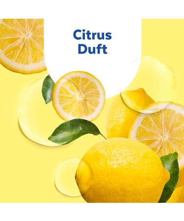 Sagrotan No-Touch Refill Kitchen Soap Citrus - 5 x 250 ml Automatic Dispenser Hand Soap | Buy Internationally - Buy Online on GoSupps.com