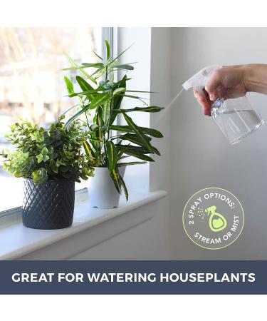 16oz Clear Plastic Spray Bottle with Stream and Mist Settings - Haircuts, Water Plants, Cleaning, Cooking, Auto Detailing, Grilling, Disinfectant - alpree 1 Count - Buy Online on GoSupps.com