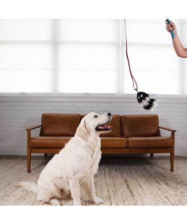 Outward Hound Blue Tail Teaser Wand - Interactive Dog Training Toy and Agility Kit - Buy Online on GoSupps.com