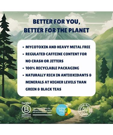  TRUESTART TrueStart Colombian Energizing Coffee 1kg Ground for V60 Aeropress Coffee Single Origin Arabica Freshly Roasted by Hand Medium Roast - Buy Online on GoSupps.com