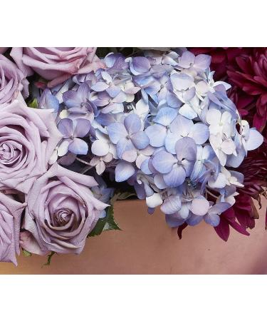 Design Master 762 Garden Hyacinth - Vibrant Floral Spray for Home Decor - Buy Online on GoSupps.com