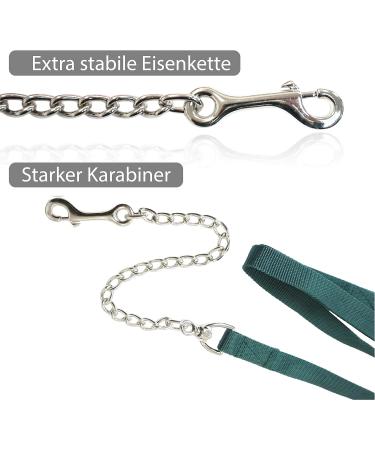 Guide for Horses - Safe Leading with Iron Chain & Nylon Handle | 2.10m Length | Ideal for Stallions Dogs Ponies & Donkeys - Dark Green - Buy Online on GoSupps.com