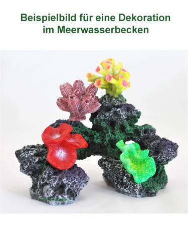 Buy Reef Rock for Nano Aquariums - 18.5x11x9cm Sea Water Replica Stone for International Shipping - Buy Online on GoSupps.com