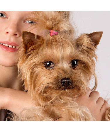 100 Colorful Puppy Rubber Bands Hair Ties for Small Dog Grooming | Super Stretch Nylon Hair Bows | Yorkie Accessories in Hot Pink, Yellow, Purple, Blue - Buy Online on GoSupps.com