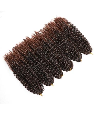 12 Inch Short Passion Twist Hair Marlybob Crochet Hair - 6 Bundles 12 Kinky Curly Crochet Hair for Black Women - Buy Online on GoSupps.com