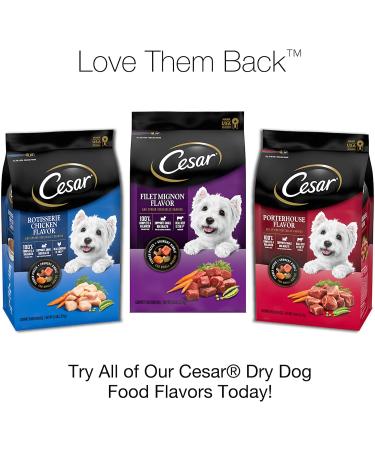 CESAR Small Breed Spring Vegetables Garnish Filet Mignon Dry Dog Food 12lb Pack - Best for Small Breeds - Buy Online on GoSupps.com