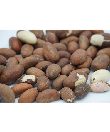 KOLA NUTRITION FRESH BITTER KOLA 1lb - Buy Online on GoSupps.com