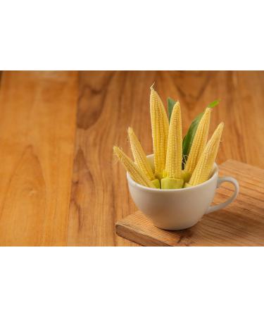 Coq 425G (Young Baby Corn) Mini Corn / Canned Corn Sprouts (6 Cans) - Buy Online on GoSupps.com
