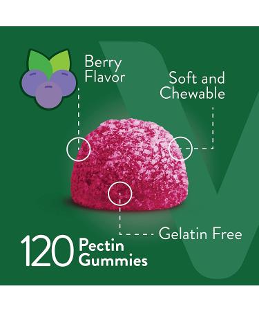 Zinc 50MG Gummies for Immune Support - Adults & Teens - 60 Count 2 Pack - Vegan & Gluten Free - Buy Online on GoSupps.com