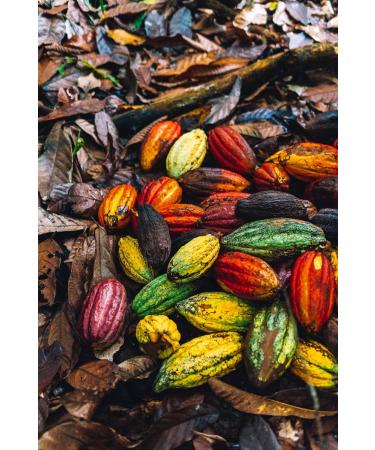 Definite Chocolate Cacao Tea artisan loose leaf 100% natural tea made from cacao bean husk vegan dairy and gluten free 60g - Buy Online on GoSupps.com