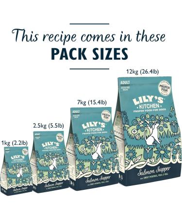 Lily's Kitchen Complete Dry Food for Adult Dogs Salmon Feast 7kg - Buy Online on GoSupps.com