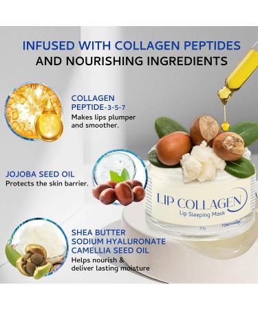 Lip Sleeping Mask(20g) Lip Collagen Lip Mask Overnight Lip Plumper Advanced with Hydridic Acids Lip Mask With Peptide Complex For Lip Wrinkles Repair Overnight Lip Masks - Buy Online on GoSupps.com