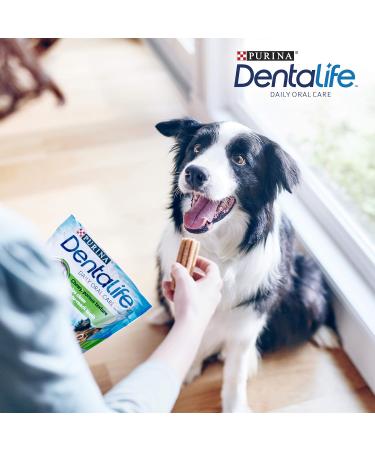 Purina Dentalife Chews for Medium Dogs - 6 x 115g | Freshens Breath & Supports Dental Health | International Shipping Available - Buy Online on GoSupps.com