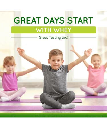 Grass-Fed Whey Protein Powder for Immune Vitality Natural Flavor 2.5lbs (56 Servings) 15g Protein Per Serve Vital Whey Clean Holistic Wellness Nutrition Natural 2.5 Pound (Pack of 1) - Buy Online on GoSupps.com