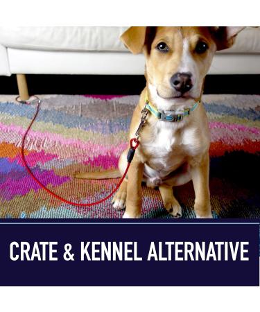 Leashboss Dog and Puppy Training Lead - 5 Foot Classic Red - Perfect for Obedience & Control - Buy Online on GoSupps.com