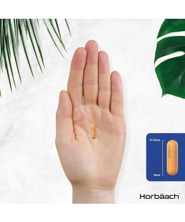 Lutein Supplement for Eyes 40mg - 120 Vegan Capsules - High Strength Vision Support - No Artificial Preservatives | Horbaach - Buy Online on GoSupps.com