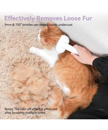Self-Cleaning Cat Brush for Short & Long Hair - Aumuca Fur Brush Removes Mats & Loose Hair (Violet) - Buy Online on GoSupps.com