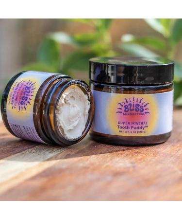 Bliss Energetics Remineralizing Tooth Puddy | Fluoride-Free with Hydroxyapatite | Remineralization | All Natural Ingredients & Preservative Free | Mineral-Rich Spot Treatment 1oz 1 Ounce (Pack of 1) - Buy Online on GoSupps.com
