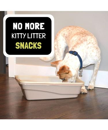 Door Buddy Adjustable Door Latch (Grey 2 Pack) - Stop Dog Eating Cat Poop with Simpler Litter Box Proofing, Convenient Cat and Adult Entry - Buy Online on GoSupps.com