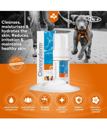 Clorexyderm 4% Foam Mousse Dry Shampoo for Dogs & Cats - Antibacterial & Antifungal - 100 ml - Relieves Dry Itchy Skin, Moisturizes & Softens Coat - Buy Online on GoSupps.com