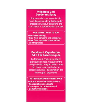Weleda Wild Rose Body Oil & Deodorant Duo - 3.4 oz | Plant-Based Skin Care Set for International Shipping - Buy Online on GoSupps.com