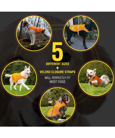 4Legriend Dog Security Vest - High Visibility Blaze Orange XL | Outdoor Safety for Dogs - 5 Sizes Available - Buy Online on GoSupps.com