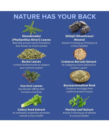 PurMEDICA Vesipur Kidney & Gallbladder Support Supplement - 8-in-1 Natural Formula - 60 Vegetarian Capsules - Buy Online on GoSupps.com