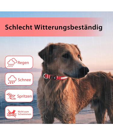 Luminous LED Dog Collar - Waterproof 7 Color Adjustable Light for Night Safety | Small to Large Dogs | 2022 Model (Red 48-60cm) - Buy Online on GoSupps.com
